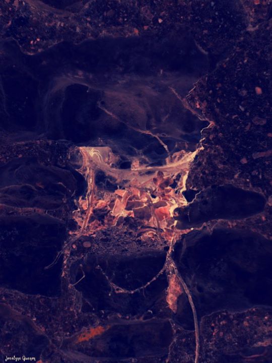 Albumformelechat