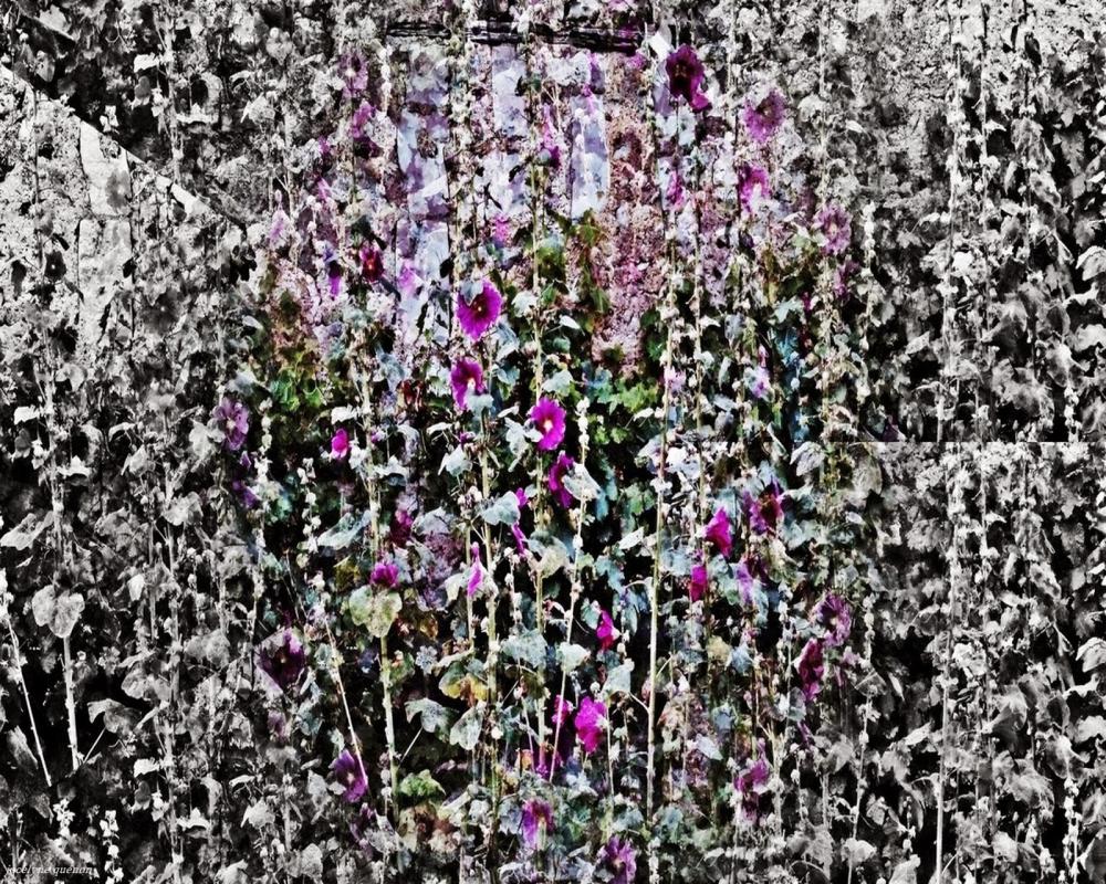 Fleurssurmonchemin01