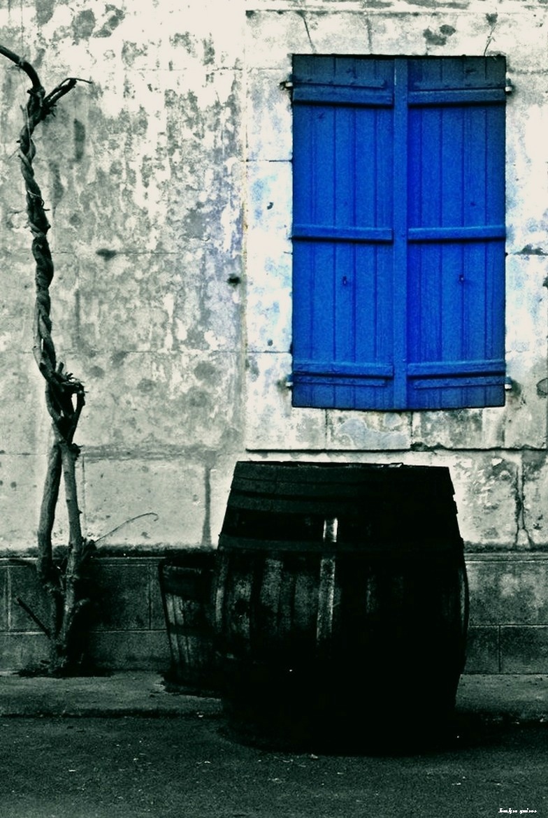 Album 