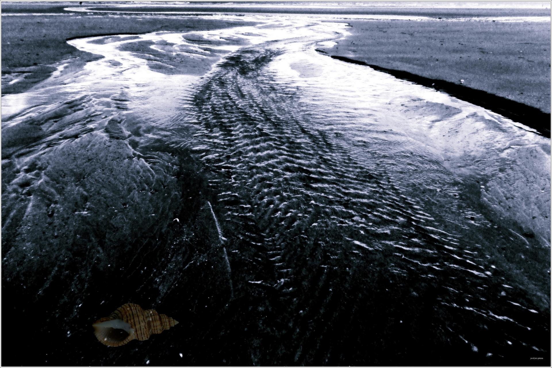 Le coquillage2030
