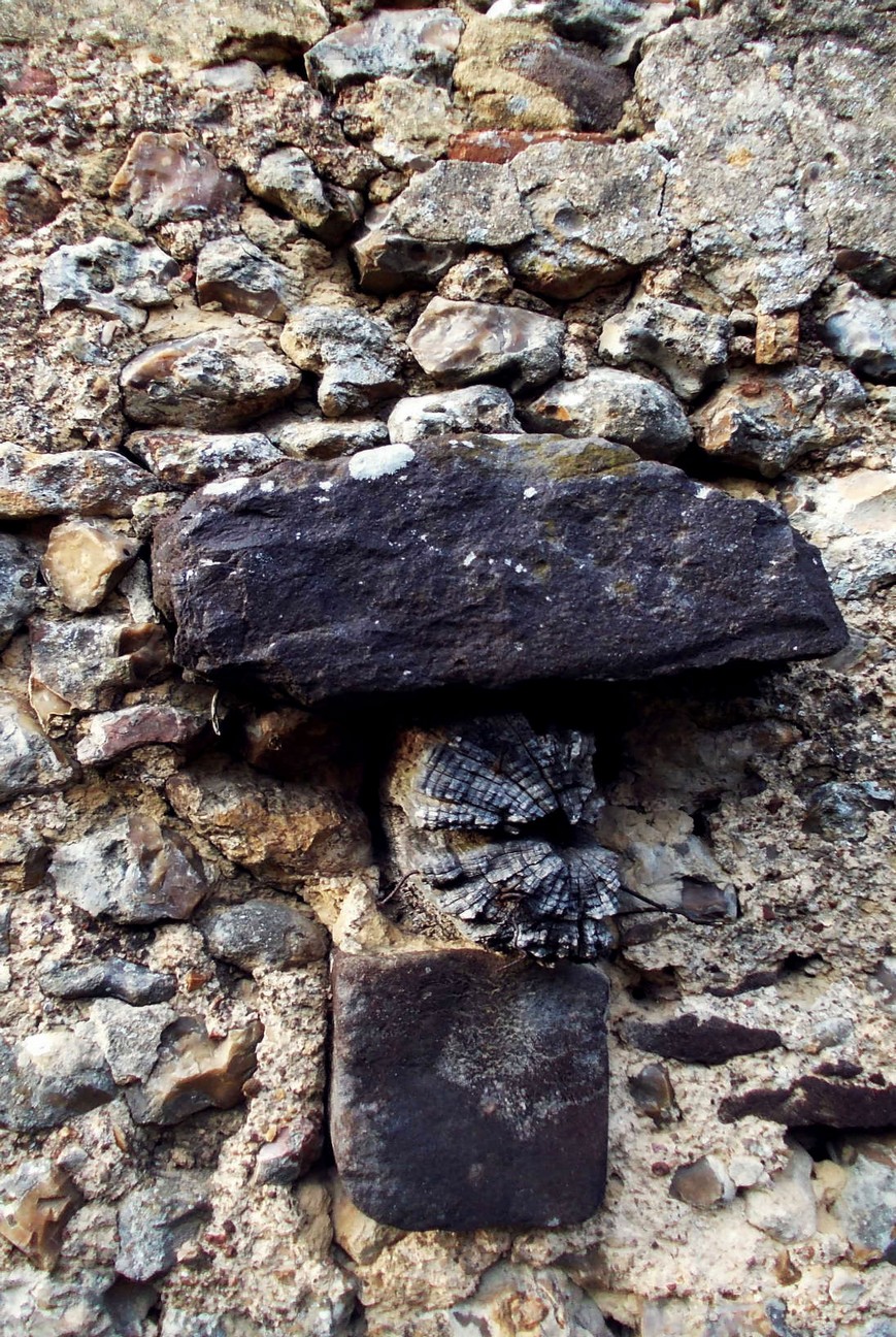 Pierre de Roussard et vieux mur de pierres (41)